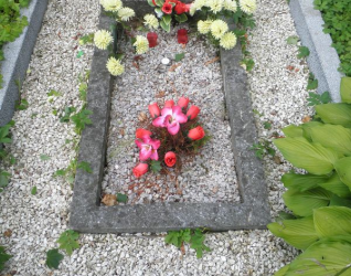 Nagrobek Kazimierza Michniewicza, cmentarz na Rossie w Wilnie, stan na 2013 r.