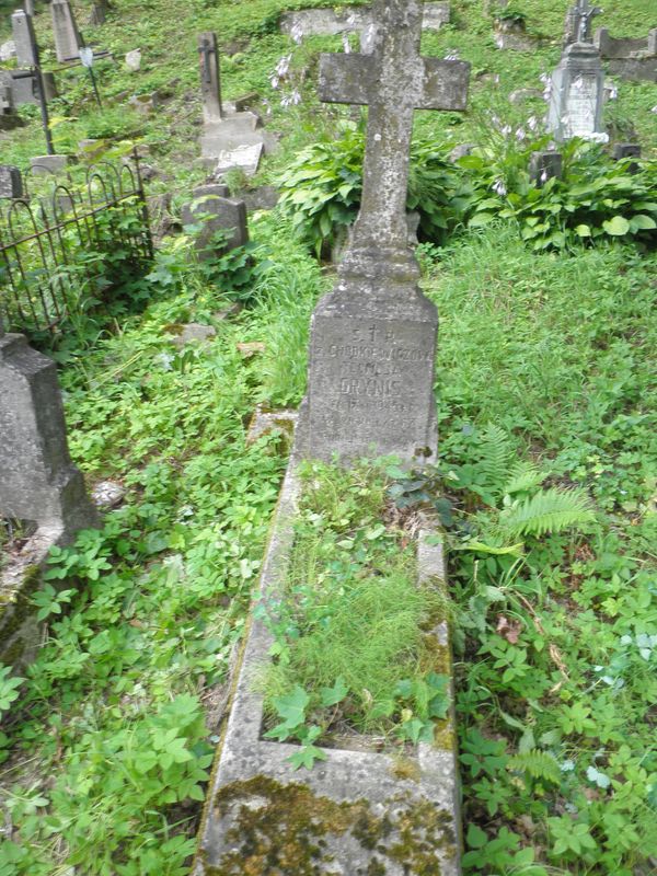 Nagrobek Teofilii Grynis, cmentarz na Rossie w Wilnie, stan na 2013 r.