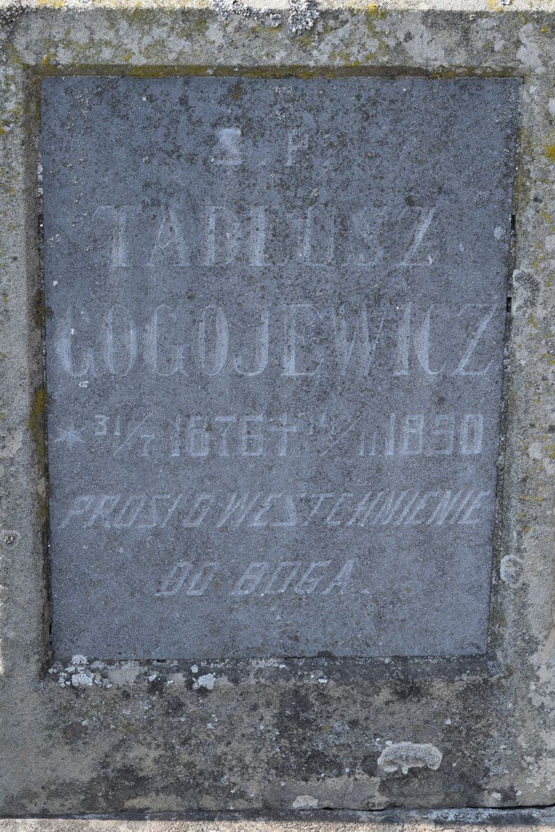 Tombstone of Tadeusz Gogoevich, Ternopil cemetery, state of 2016