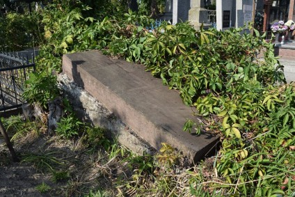 Nagrobek Ludwika i Marii Gogojewiczów, cmentarz w Tarnopolu, stan z 2016