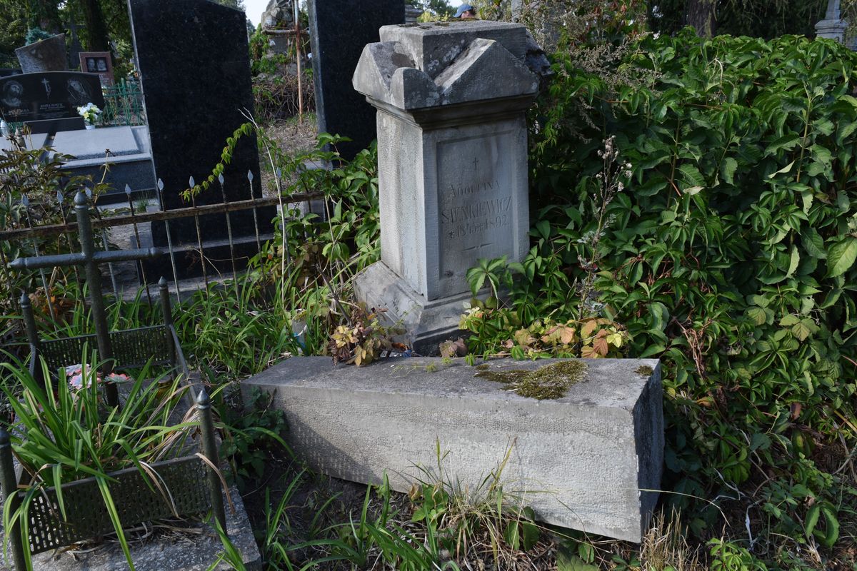 Tombstone of Adolfina Sienkiewicz, Ternopil cemetery, state of 2016