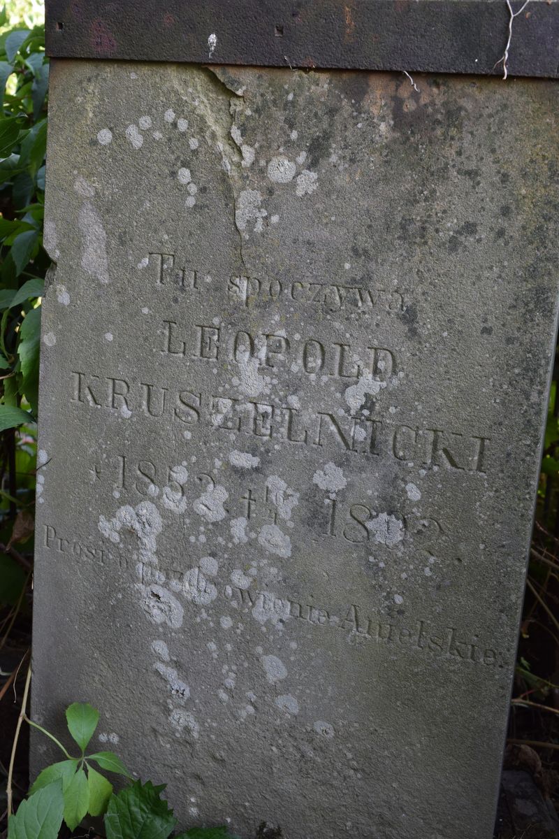 Tombstone of Leopold Krushelnitsky, Ternopil cemetery, state of 2016