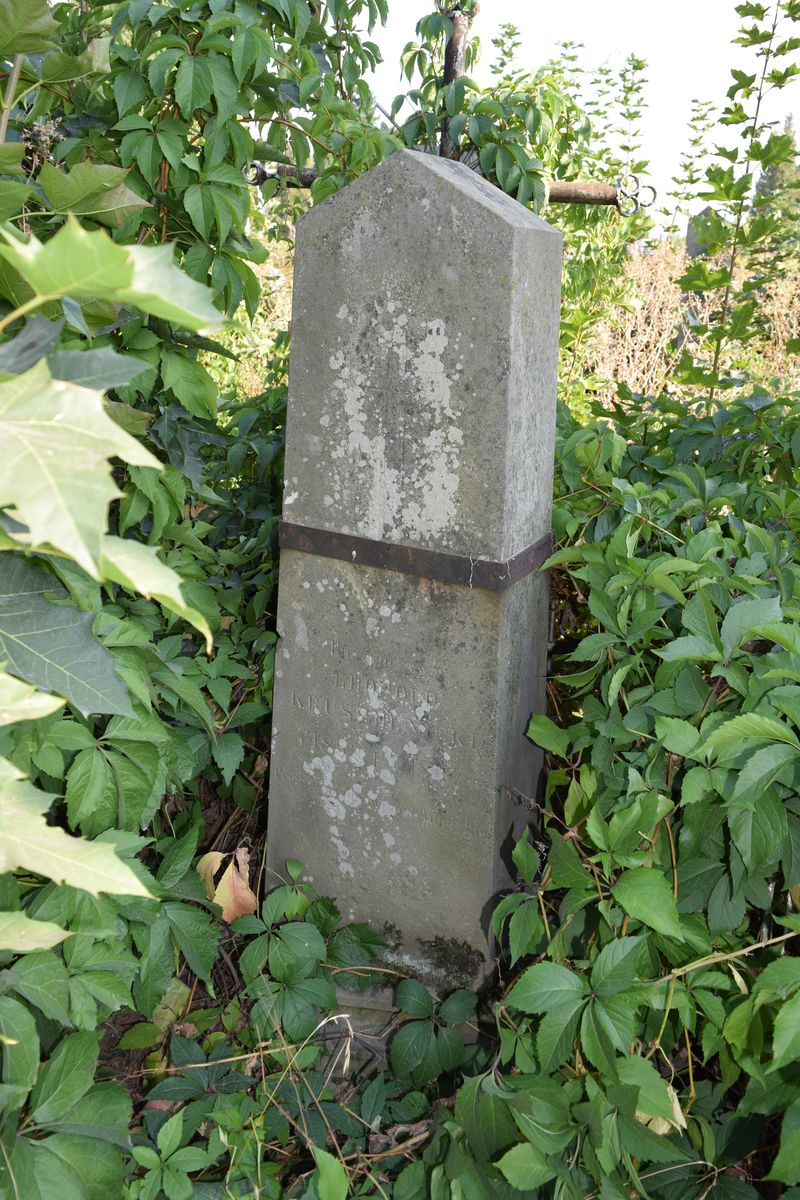 Tombstone of Leopold Krushelnitsky, Ternopil cemetery, state of 2016