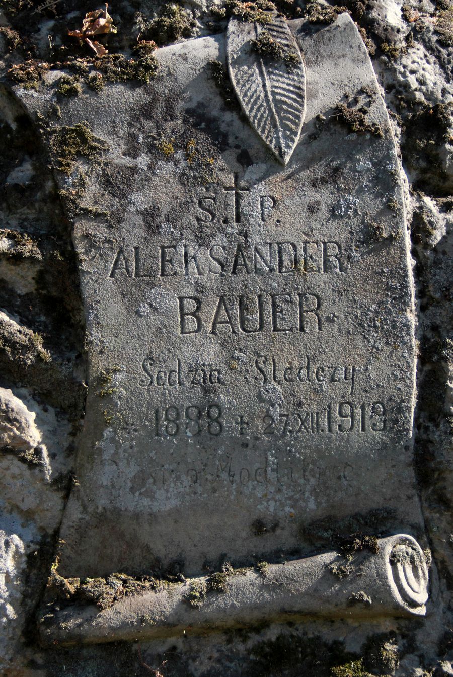 Fragment nagrobka Aleksandra Bauera, cmentarz w Tarnopolu, stan z 2016