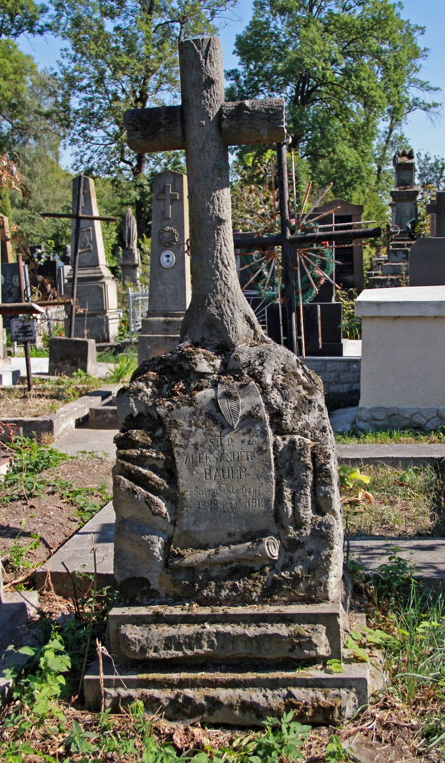 Nagrobek Aleksandra Bauera, cmentarz w Tarnopolu, stan z 2016