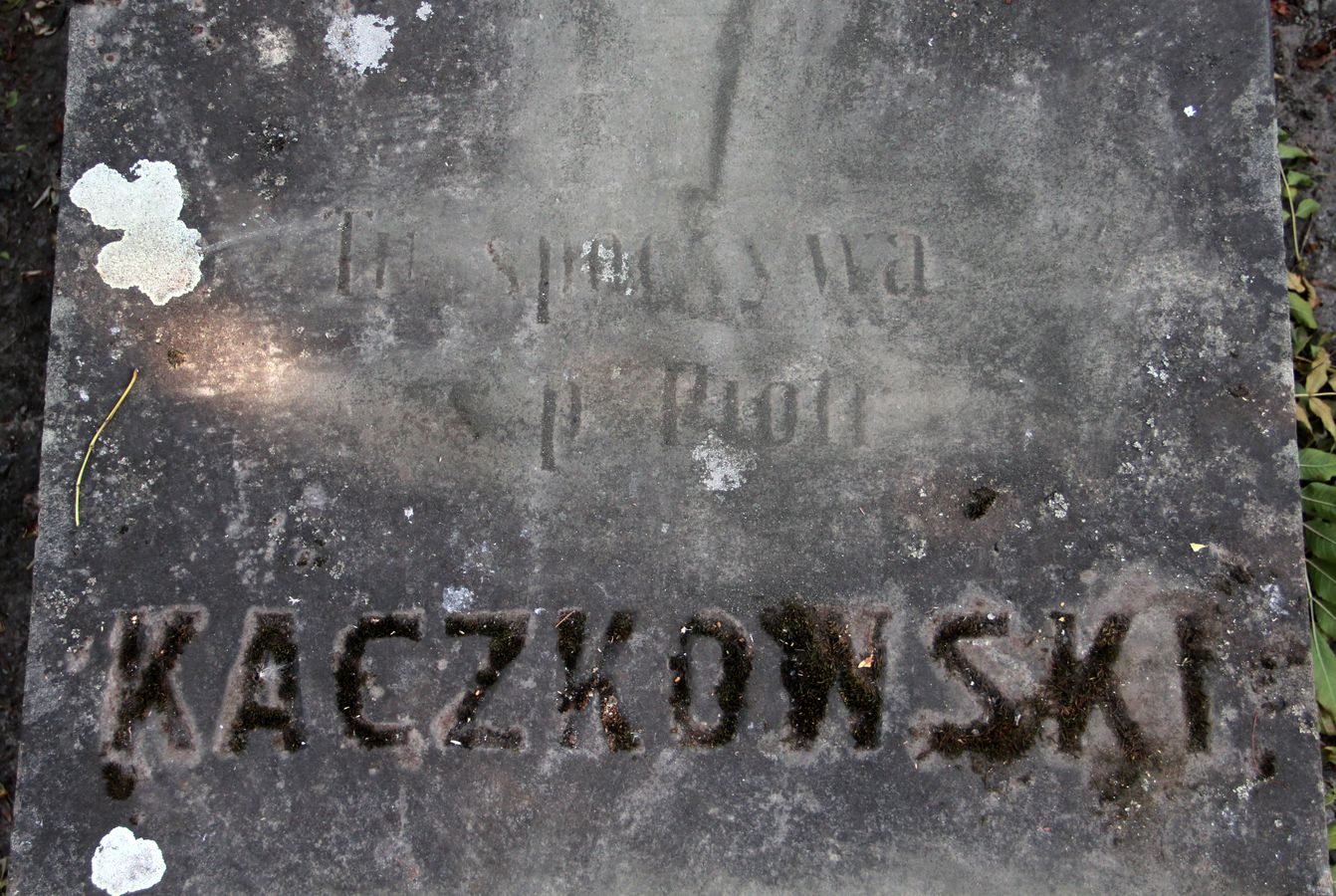 Fragment of the tombstone of Piotr Kaczkowski, Ternopil cemetery, 2016 status