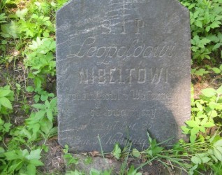 Nagrobek Leopolda Nibelta, cmentarz Na Rossie w Wilnie, stan z 2013