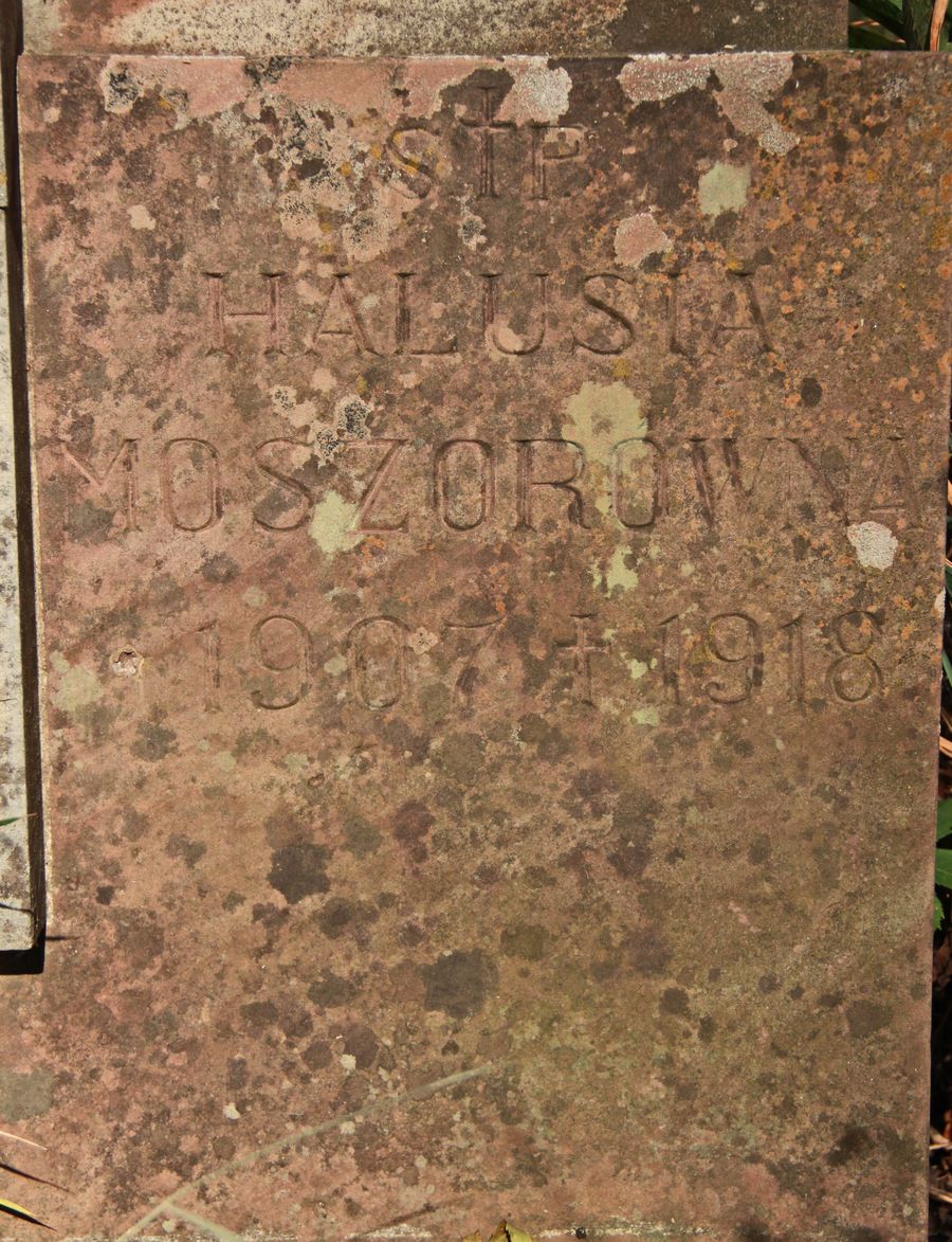 Fragment of Halina Moszor's tombstone, Ternopil cemetery, 2016 status
