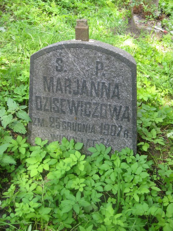 Nagrobek Marianny Dzisewicz, cmentarz Na Rossie w Wilnie, stan z 2013