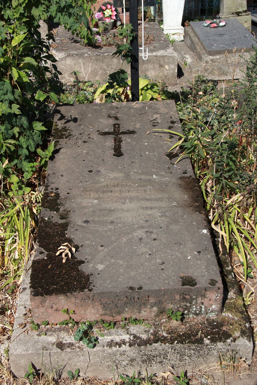 Nagrobek Julii Maceluch, cmentarz w Tarnopolu, stan z 2016