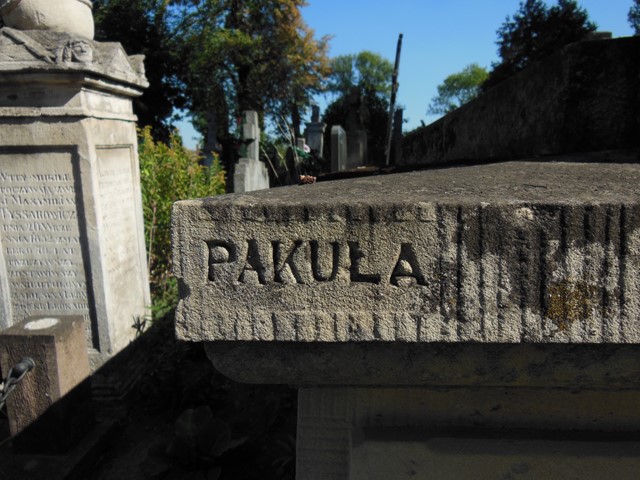 Fragment grobowca Mieczysława i Mikołaja Katryczów, cmentarz w Tarnopolu, stan z 2016 roku