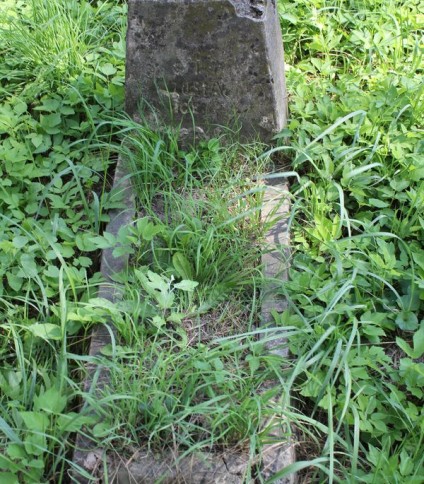 Nagrobek Zofii [...]ice[...], cmentarz Na Rossie w Wilnie, stan z 2013 roku