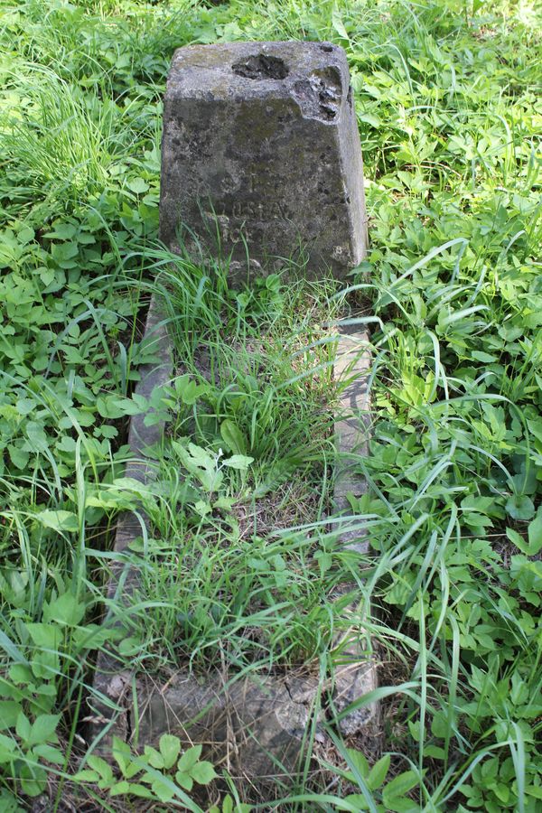 Nagrobek Zofii [...]ice[...], cmentarz Na Rossie w Wilnie, stan z 2013 roku