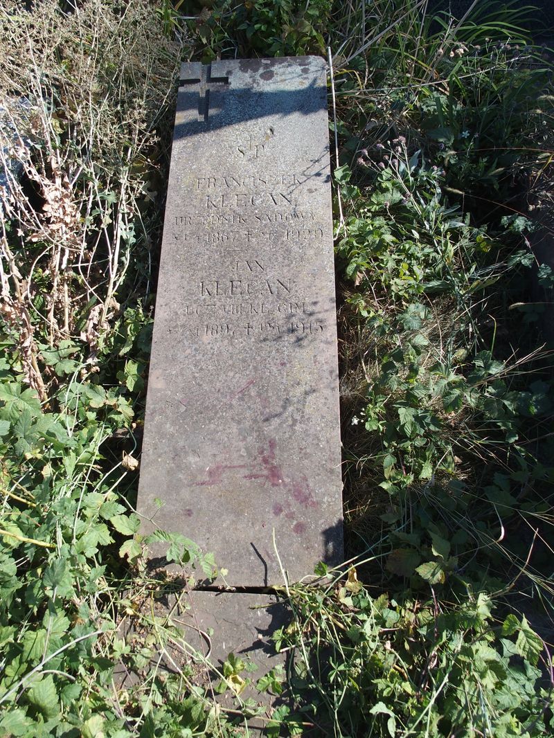 Tombstone of Franciszek and Jan Klecan, Ternopil cemetery, state of 2016