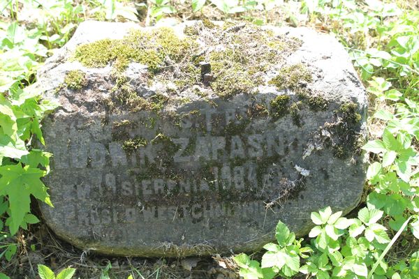 Nagrobek Ludwika Zapaśnika, cmentarz Na Rossie w Wilnie, stan z 2013 roku
