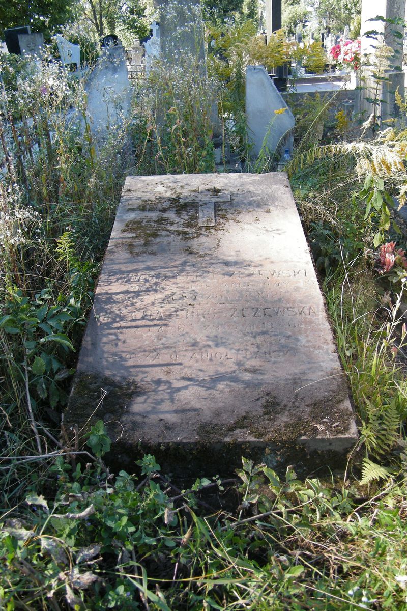 Nagrobek Edwarda i Heleny Chruszczewskiej, cmentarz w Tarnopolu, stan z 2016