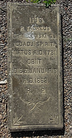 Tombstone of Tadeusz Chmielewski, Ternopil cemetery, as of 2016