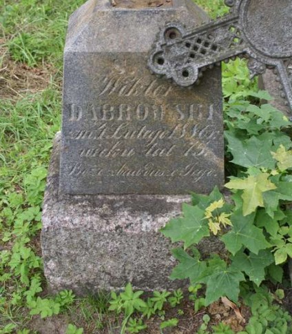 Nagrobek Wiktora Dąbrowskiego, cmentarz na Rossie w Wilnie, stan z 2013 r.