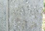Photo montrant Tombstone of Paulina and Edward Zuchorski and Jozef Żukowski