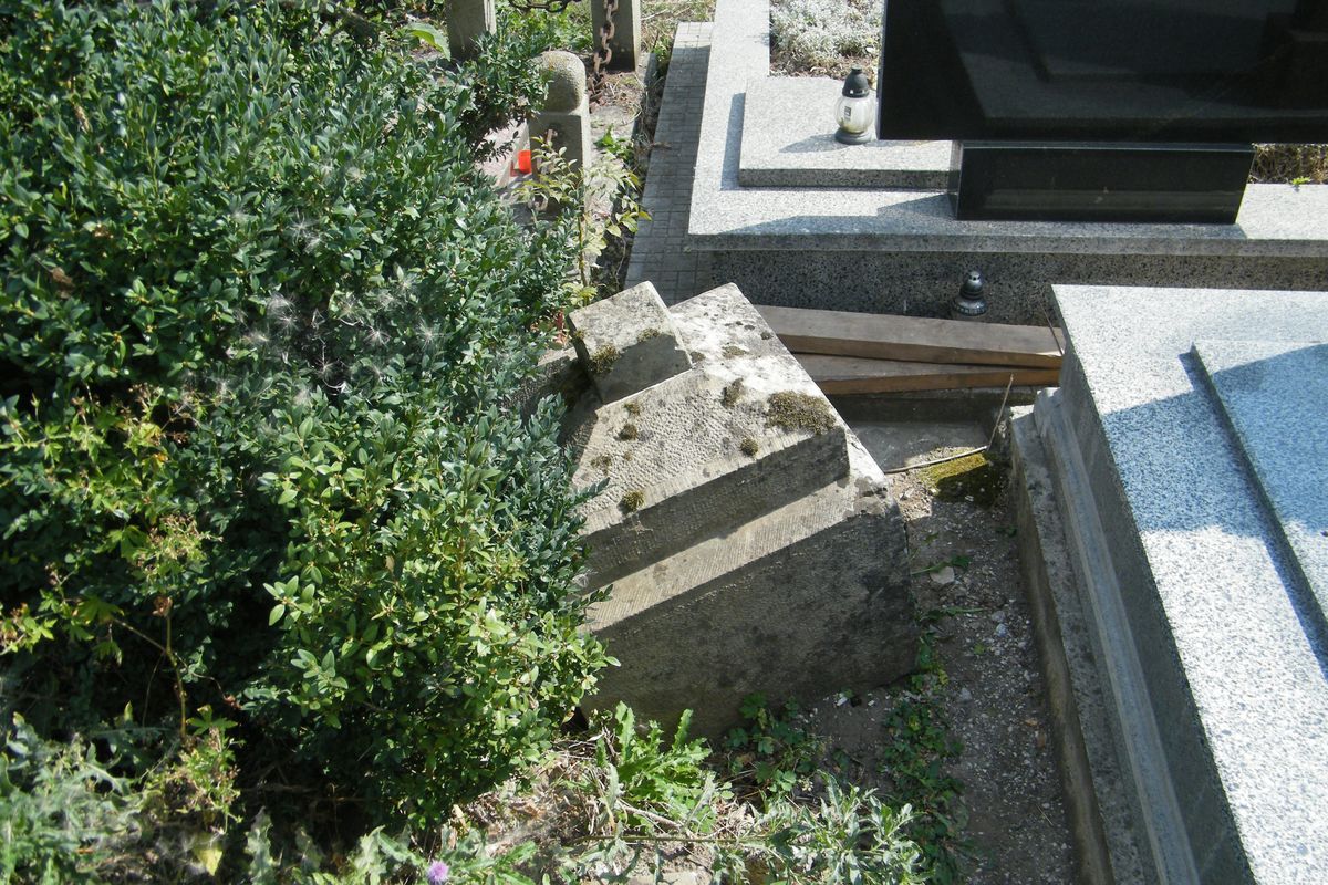 Nagrobek Stefana Modyczko, cmentarz w Tarnopolu, stan z 2016 r.