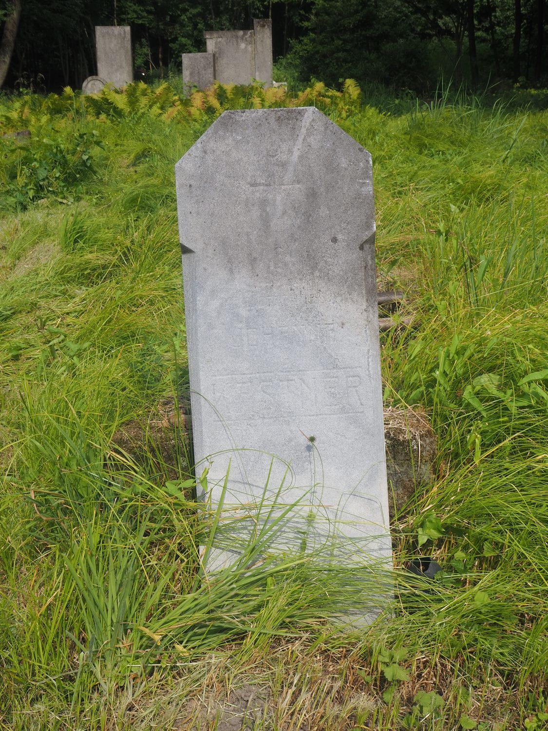 Gravestone of Johanna Kastner, cemetery in Karviná Mexico, as of 2022.