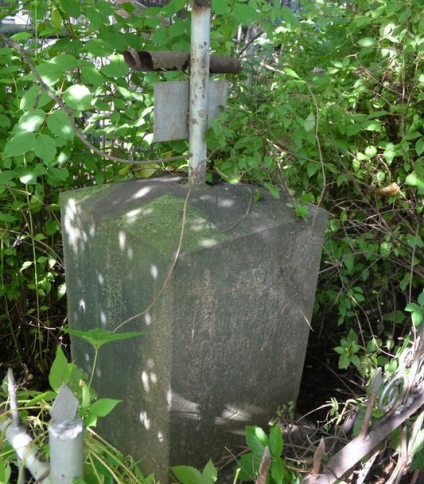 Nagrobek Michała Salmonowicza