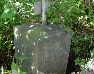 Nagrobek Michała Salmonowicza