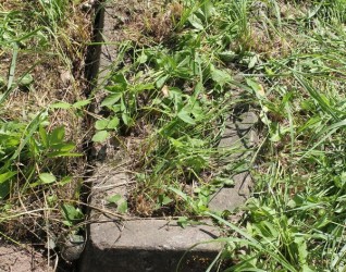 Nagrobek Edwarda Bordona, cmentarz Na Rossie w Wilnie, stan z 2013 roku