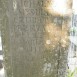 Fotografia przedstawiająca Nagrobek Michaliny Zmysułow-Czubatej
