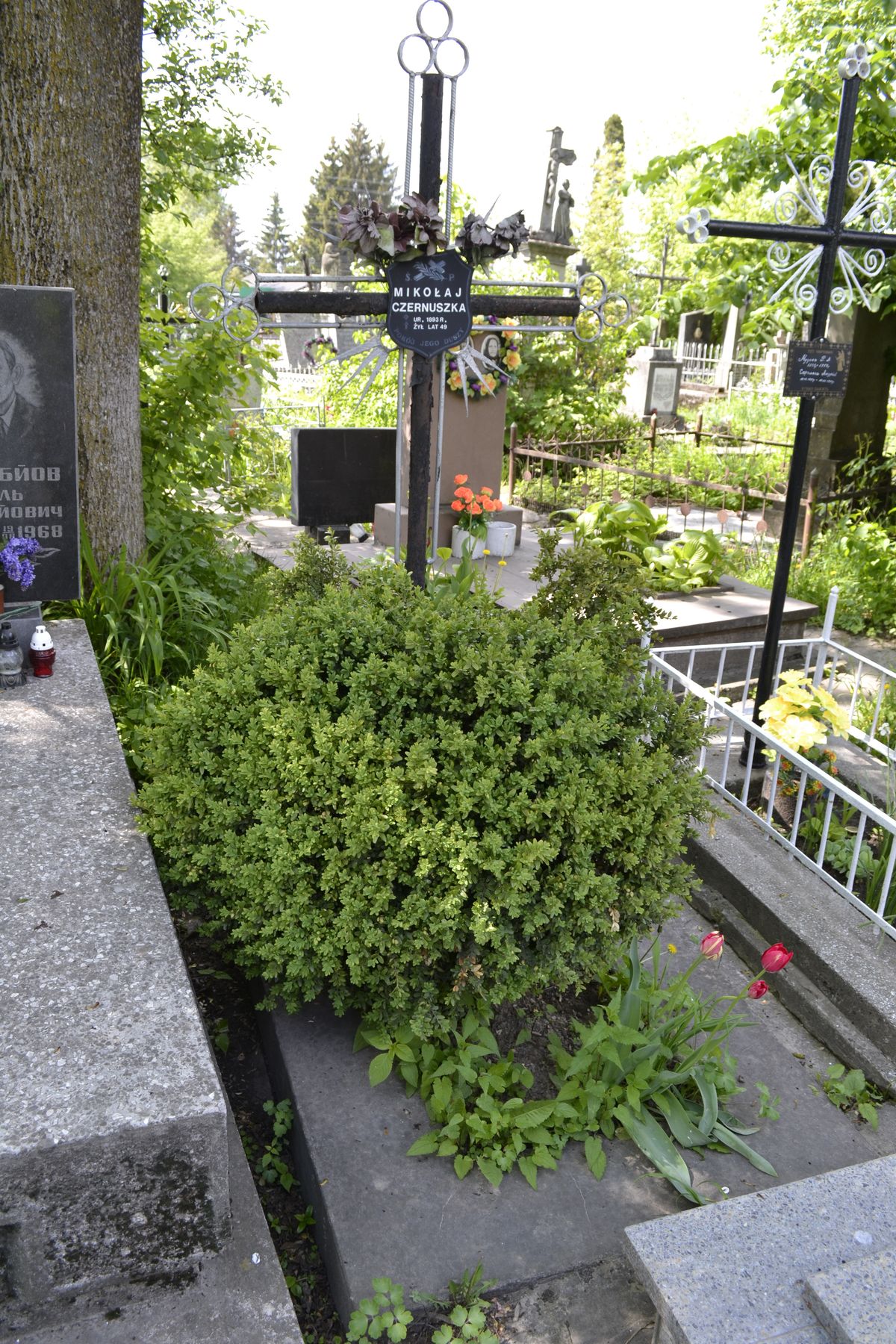 Tombstone of Nikolai Chernushka, Ternopil cemetery, as of 2016