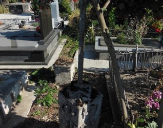 Nagrobek N.N., cmentarz w Tarnopolu, stan z 2016 roku