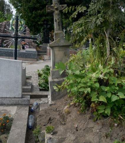 Nagrobek Marii N. N., cmentarz w Tarnopolu, stan przed 2016