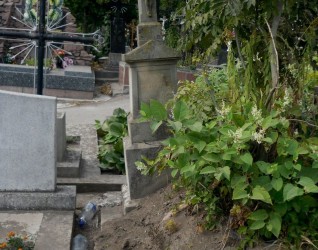 Nagrobek Marii N. N., cmentarz w Tarnopolu, stan przed 2016