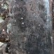 Fotografia przedstawiająca Tombstone of Maria Ostrowska