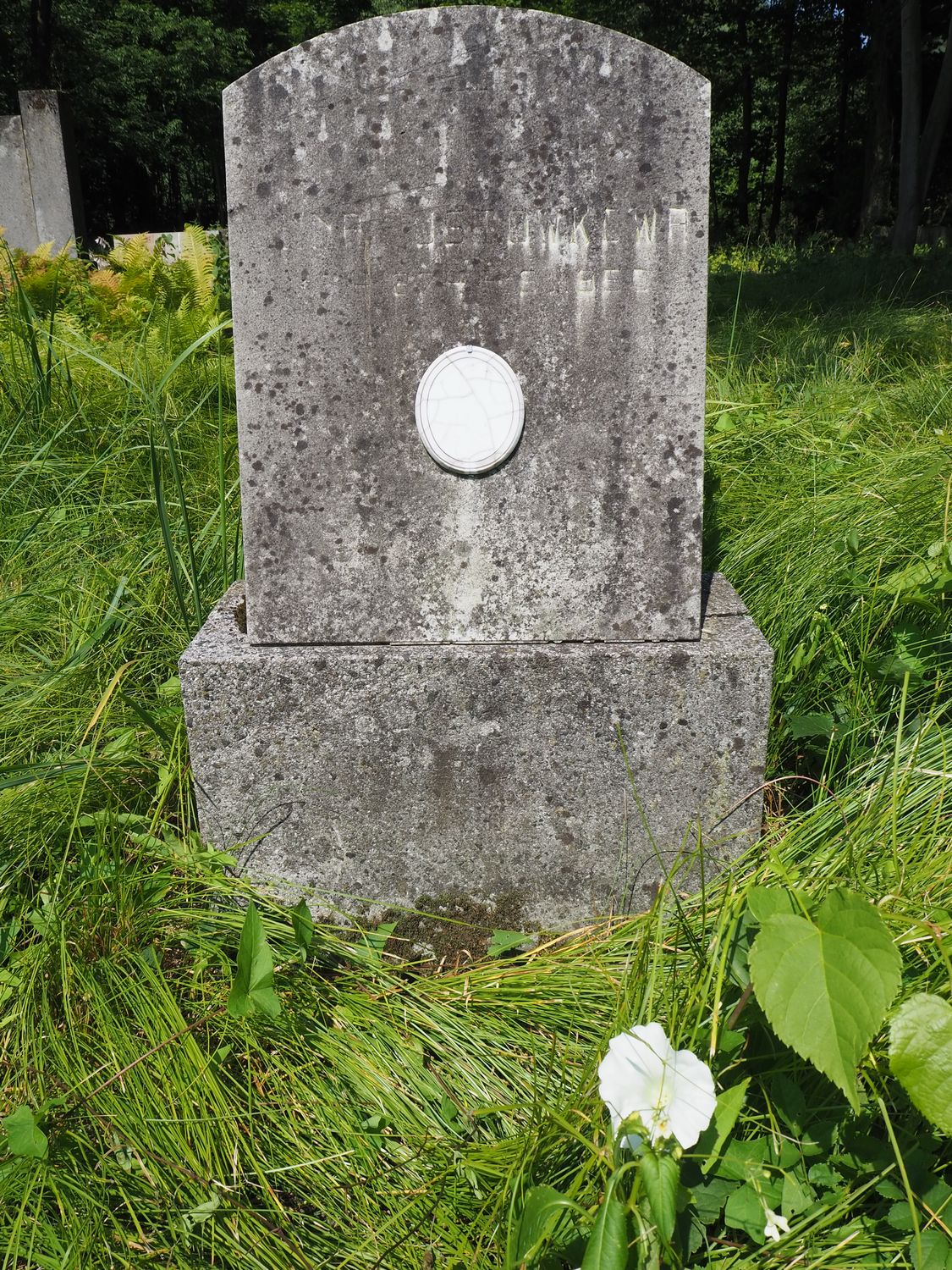 Tombstone of Anna Pustovka, cemetery in Karviná Mexico, as of 2022.
