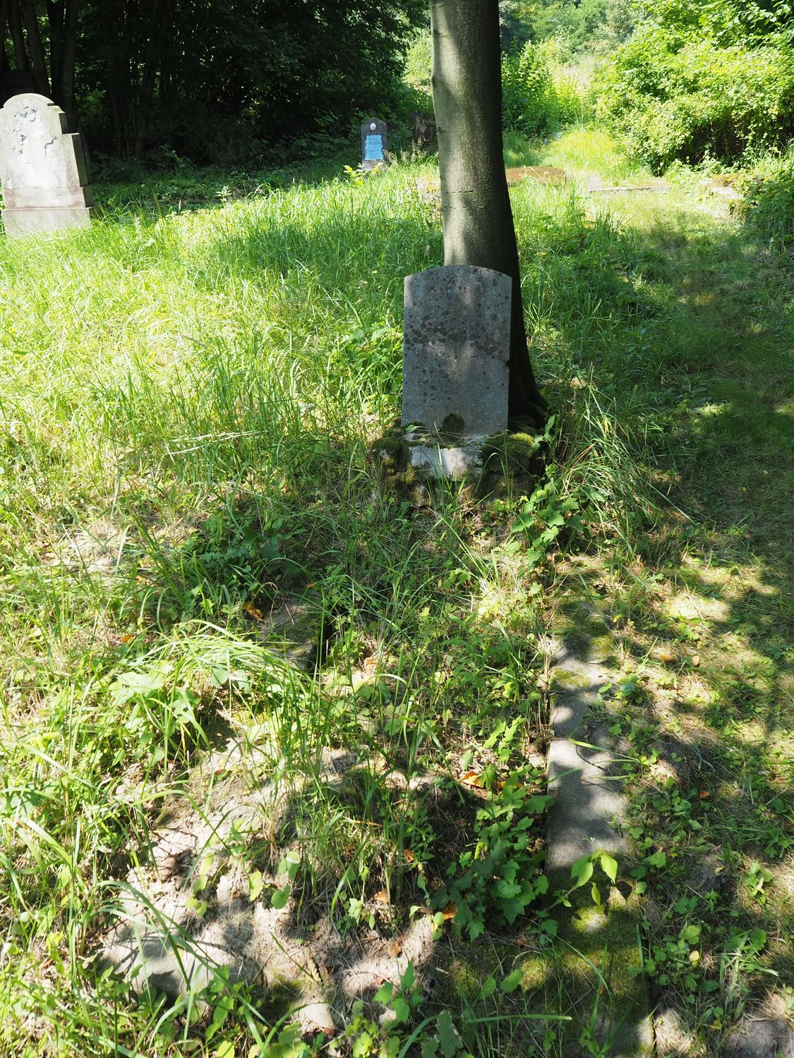 Tombstone of Albrecht Molinek, cemetery in Karviná Mexico, as of 2022.