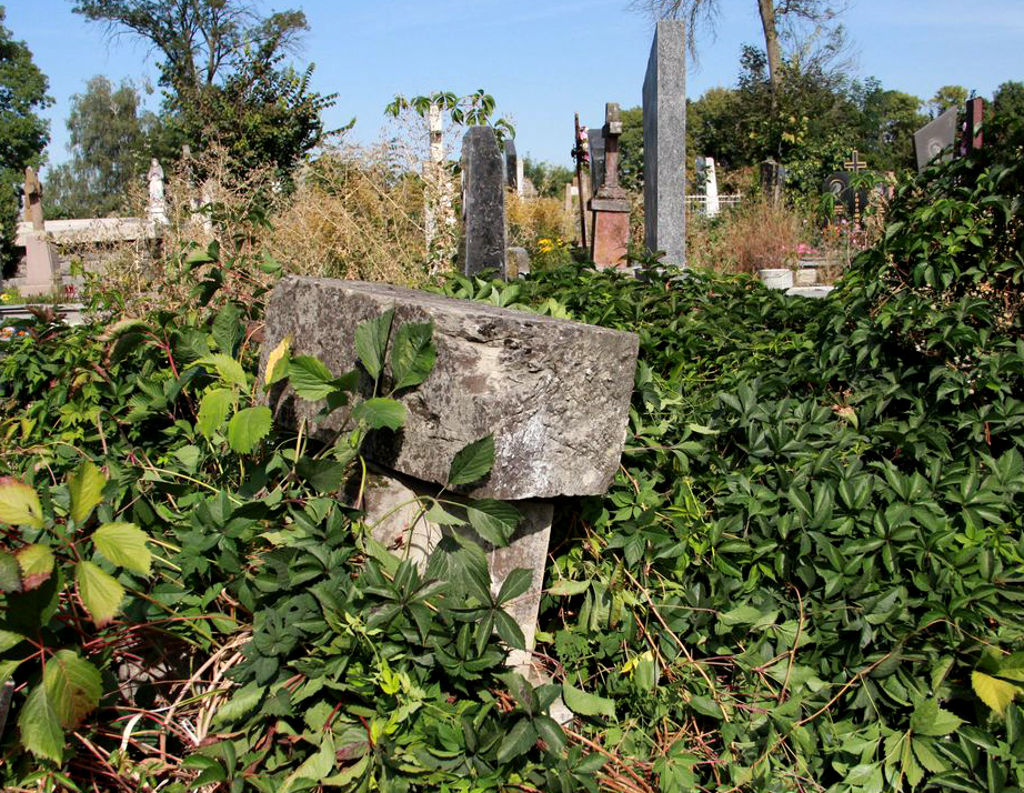 Nagrobek Magdaleny Tkacz, cmentarz w Tarnopolu, stan z 2016 r.