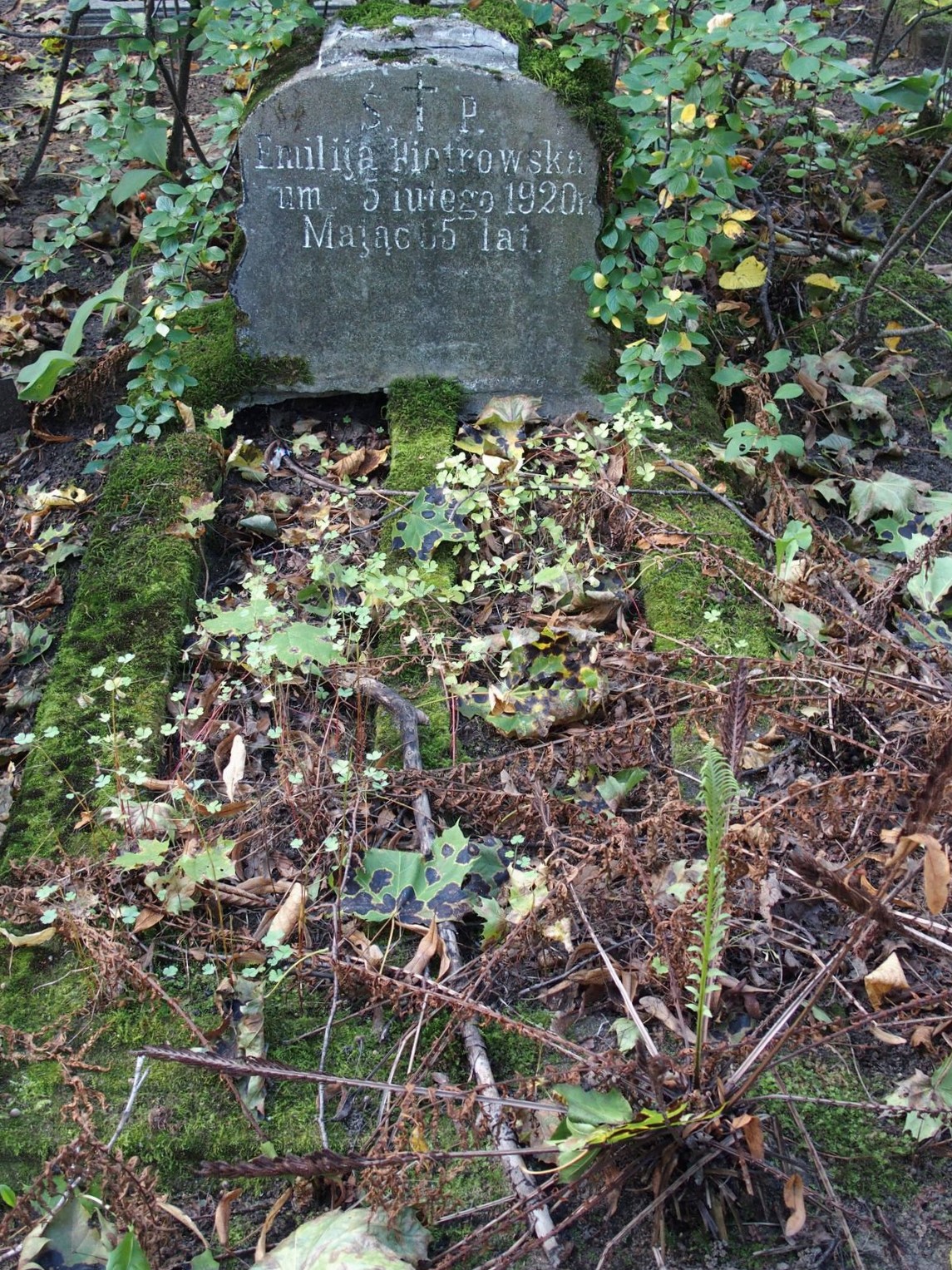 Gravestone of Emilia Piotrowska, St Michael's cemetery in Riga, as of 2021.