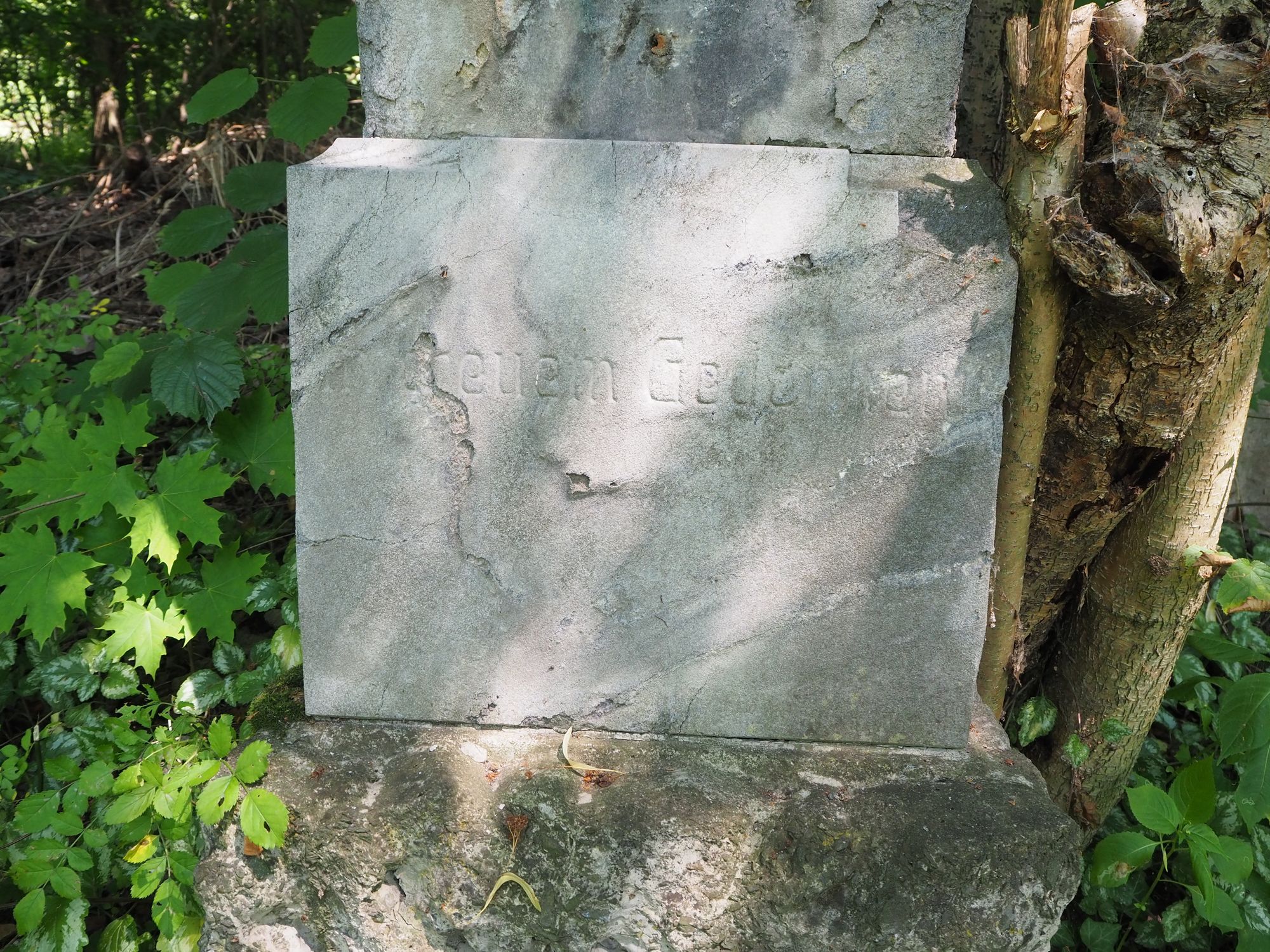 Fragment nagrobka Paula Heczko, cmentarz w Karwinie Meksyku, stan z 2022 r.