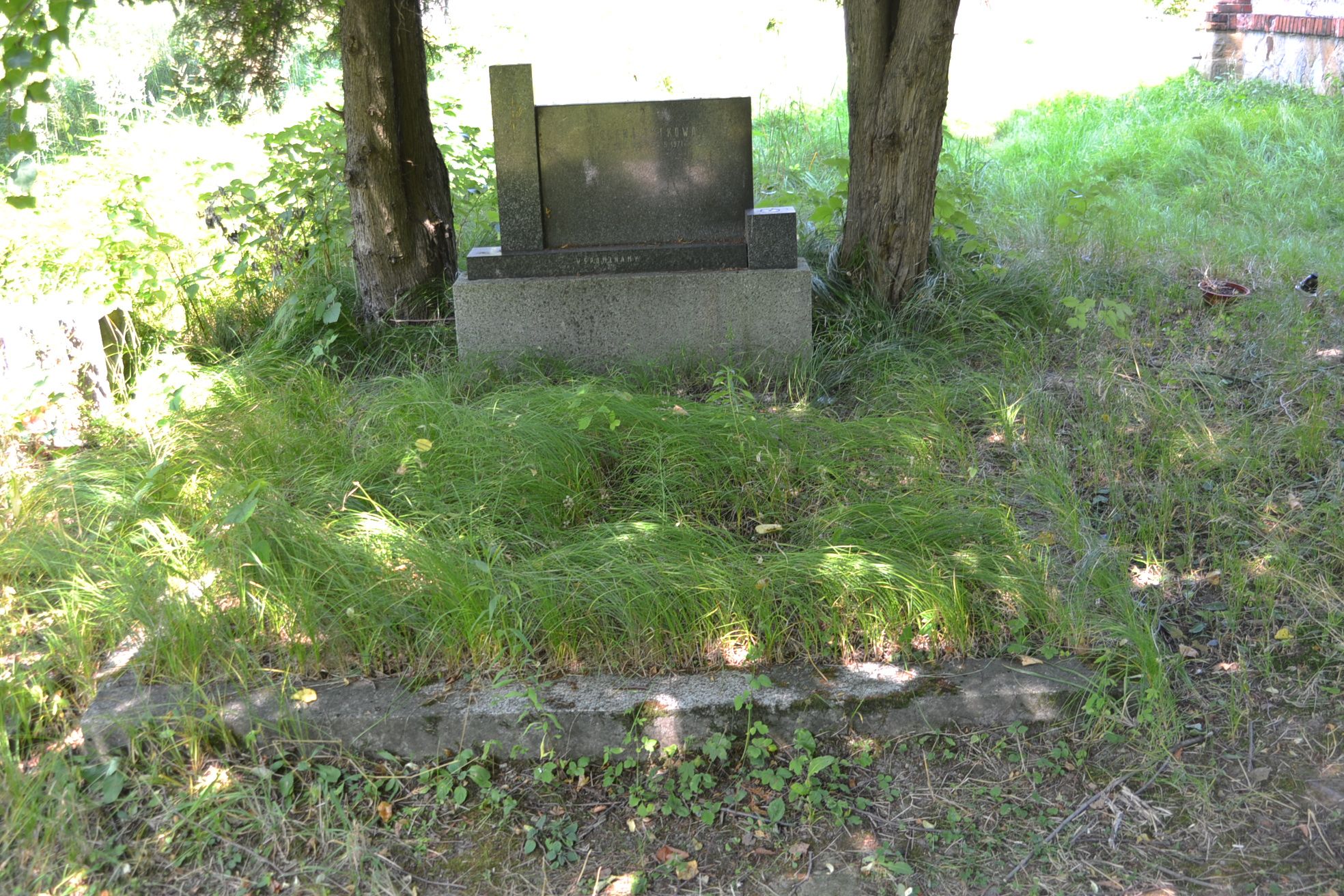 Nagrobek Heleny Tytko, cmentarz w Karwinie Meksyku w Czechach, stan z 2022 roku