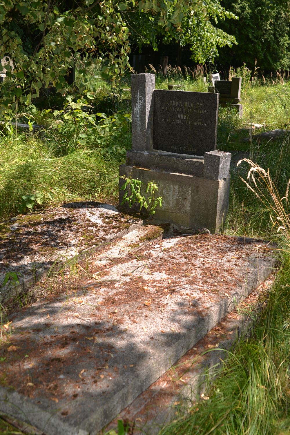 Tomb of Aloise and Anna Kupka, cemetery in Karviná Mexico, Czech Republic, as of 2022