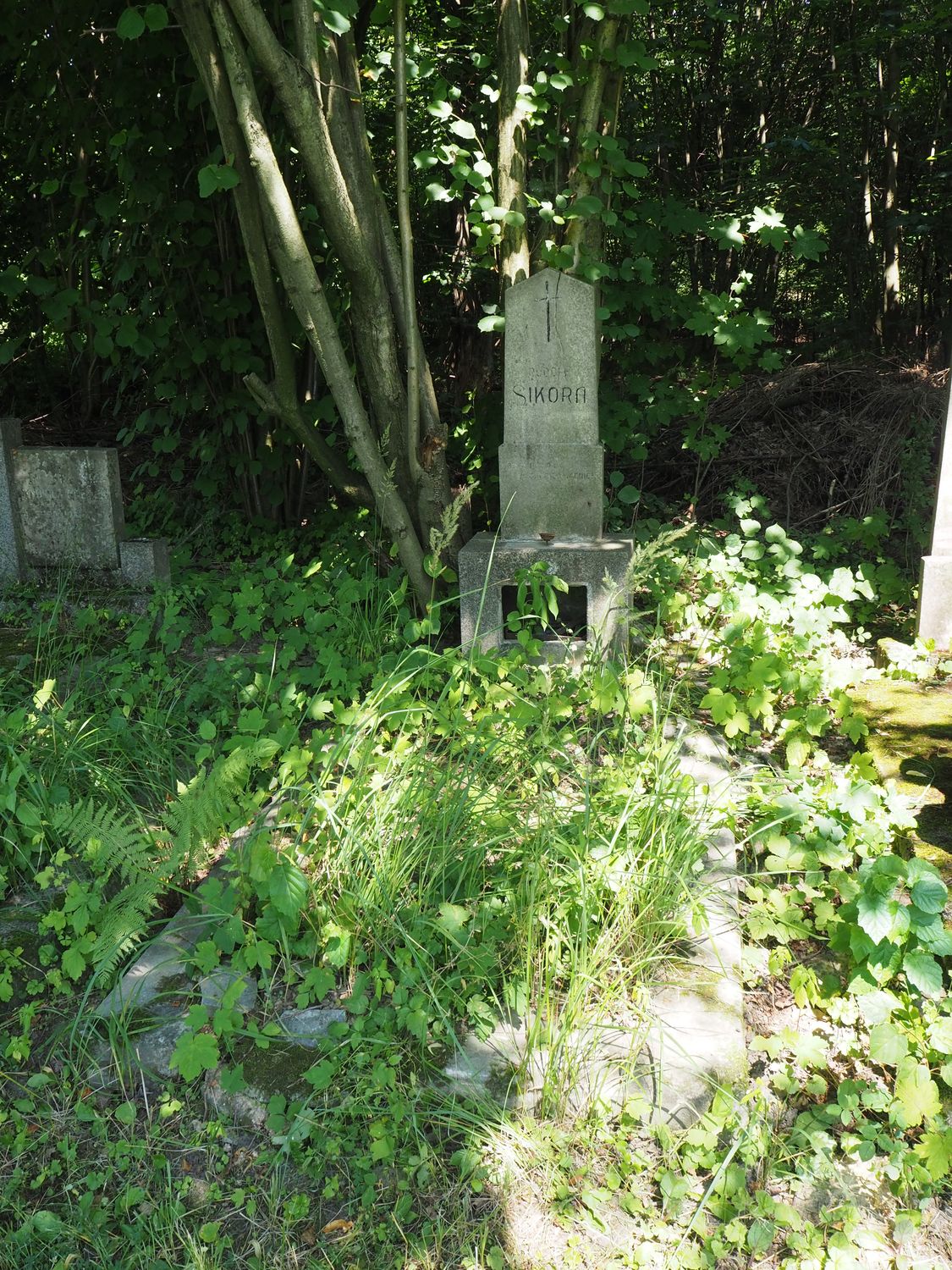 Nagrobek Rudolfa Sikory, cmentarz w Karwinie Meksyku, stan z 2022 r.