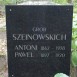 Fotografia przedstawiająca Tombstone of Antoni Szeinowski and Pavel Szeinowski