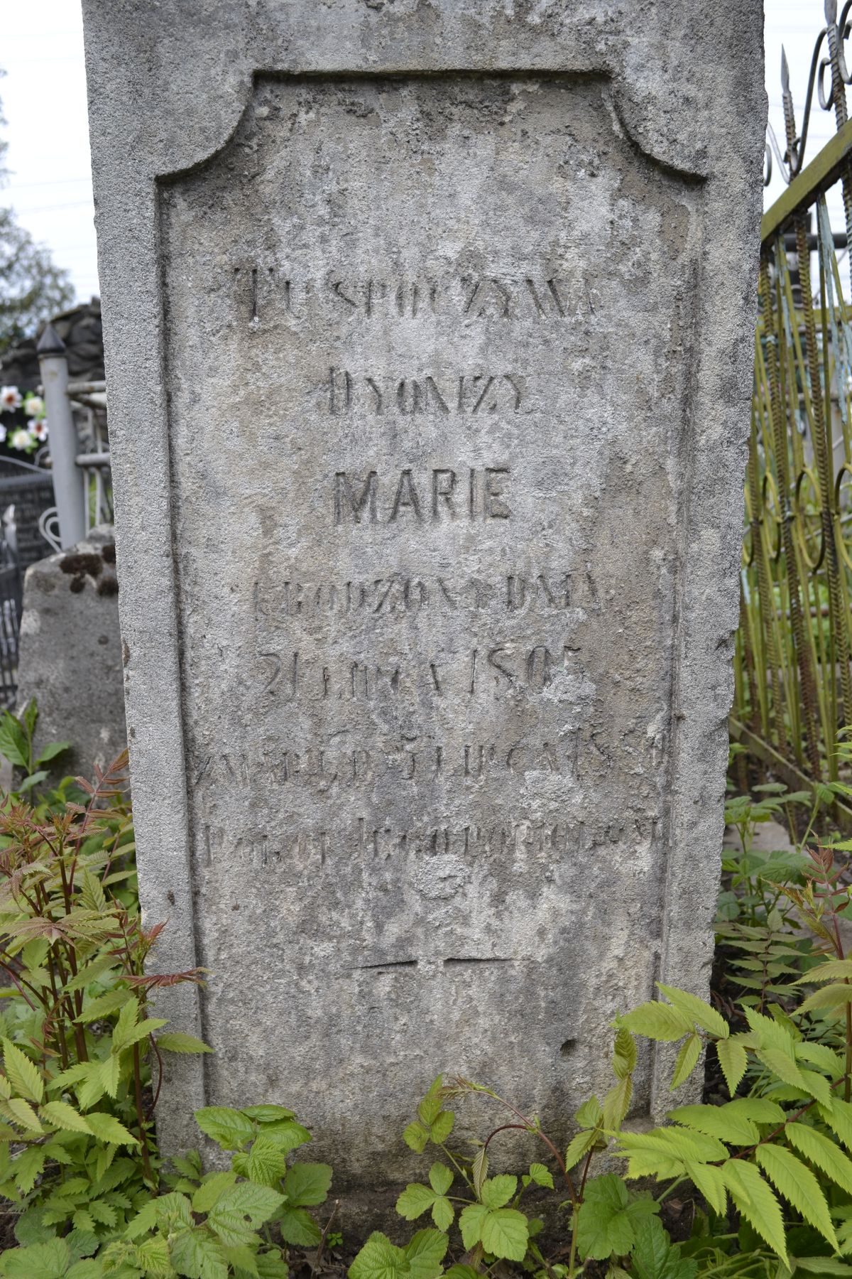 Nagrobek Andrzeja Migacza, cmentarz w Tarnopolu, stan z 2016