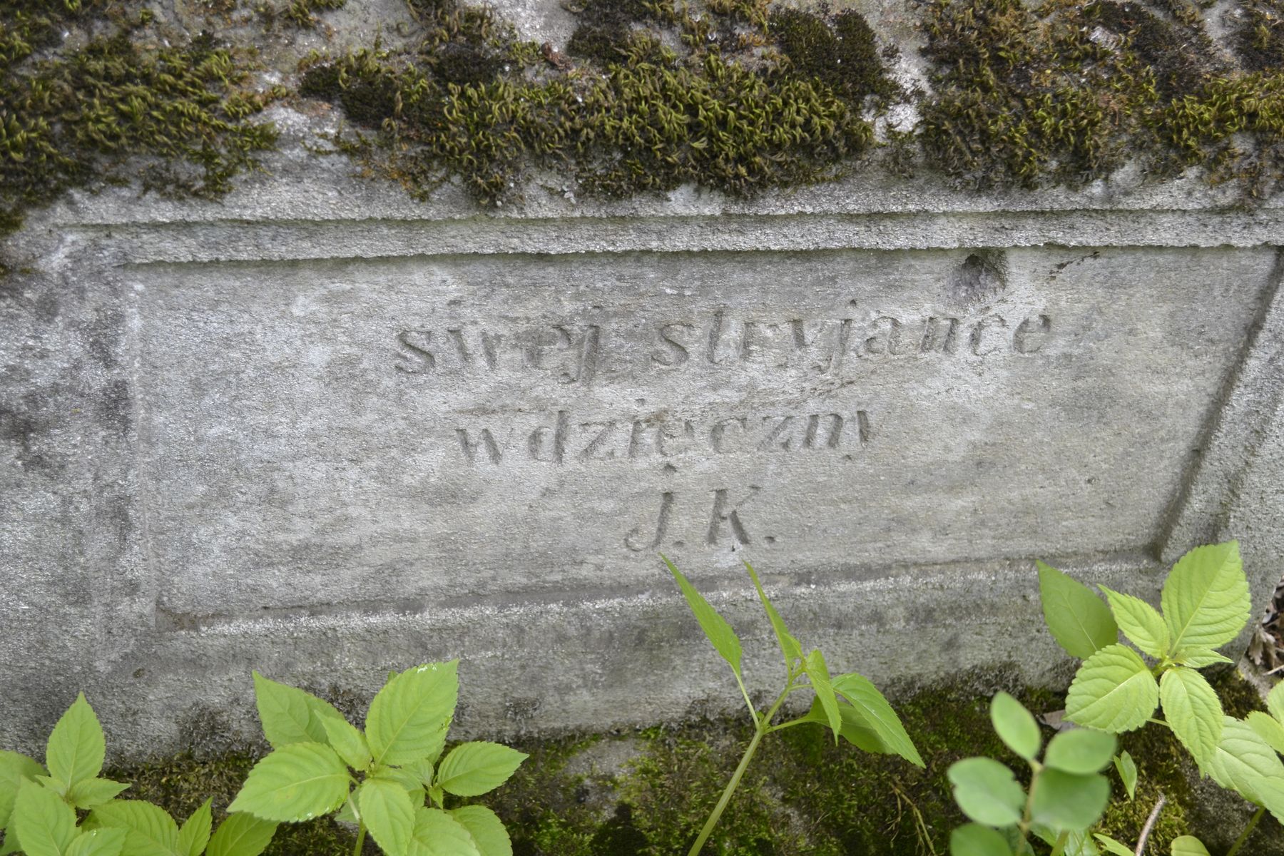Detail of the tombstone of Katarzyna Kopaczynska, Ternopil cemetery, 2016 status
