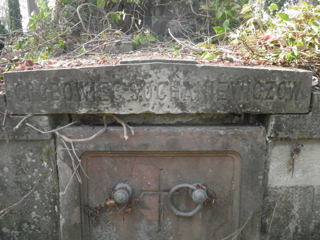 Fragment grobowca Karola Sochaniewicza, cmentarz w Tarnopolu, stan z 2016 r.