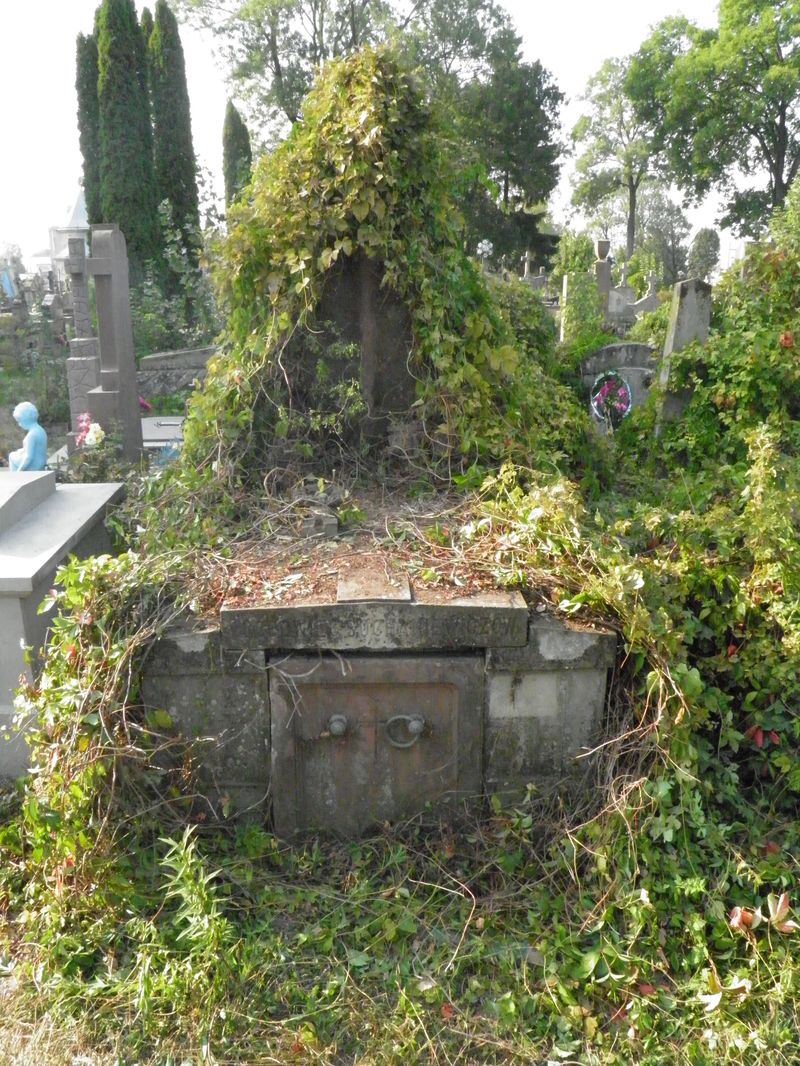 Grobowiec Karola Sochaniewicza, cmentarz w Tarnopolu, stan z 2016 r.