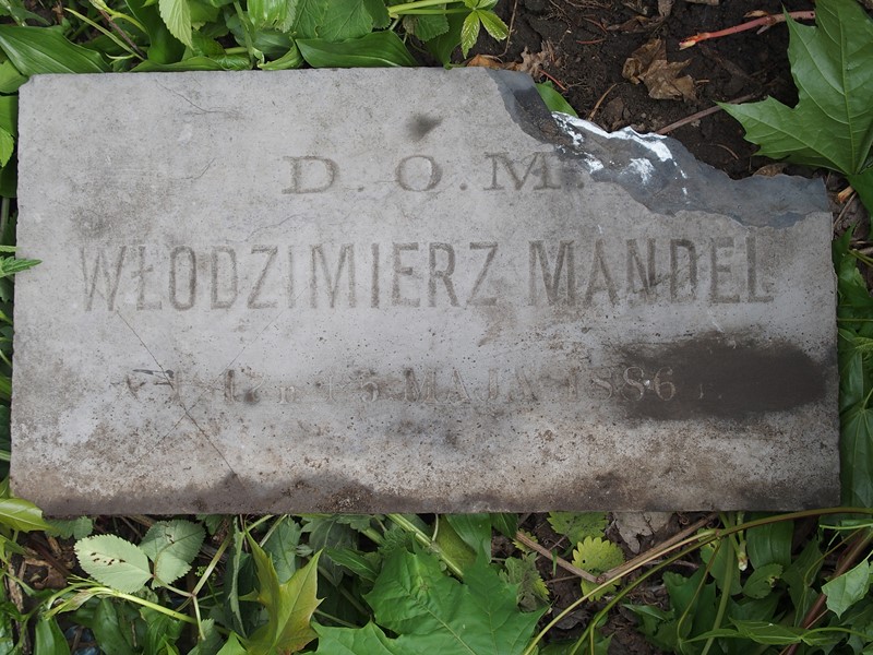 Tombstone of Vladimir Mandel, Ternopil cemetery, as of 2017