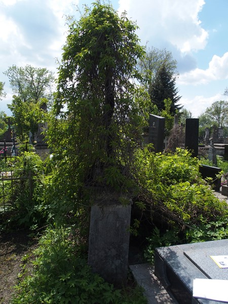 Nagrobek Aleksandry N.N., cmentarz w Tarnopolu, stan z 2017 roku