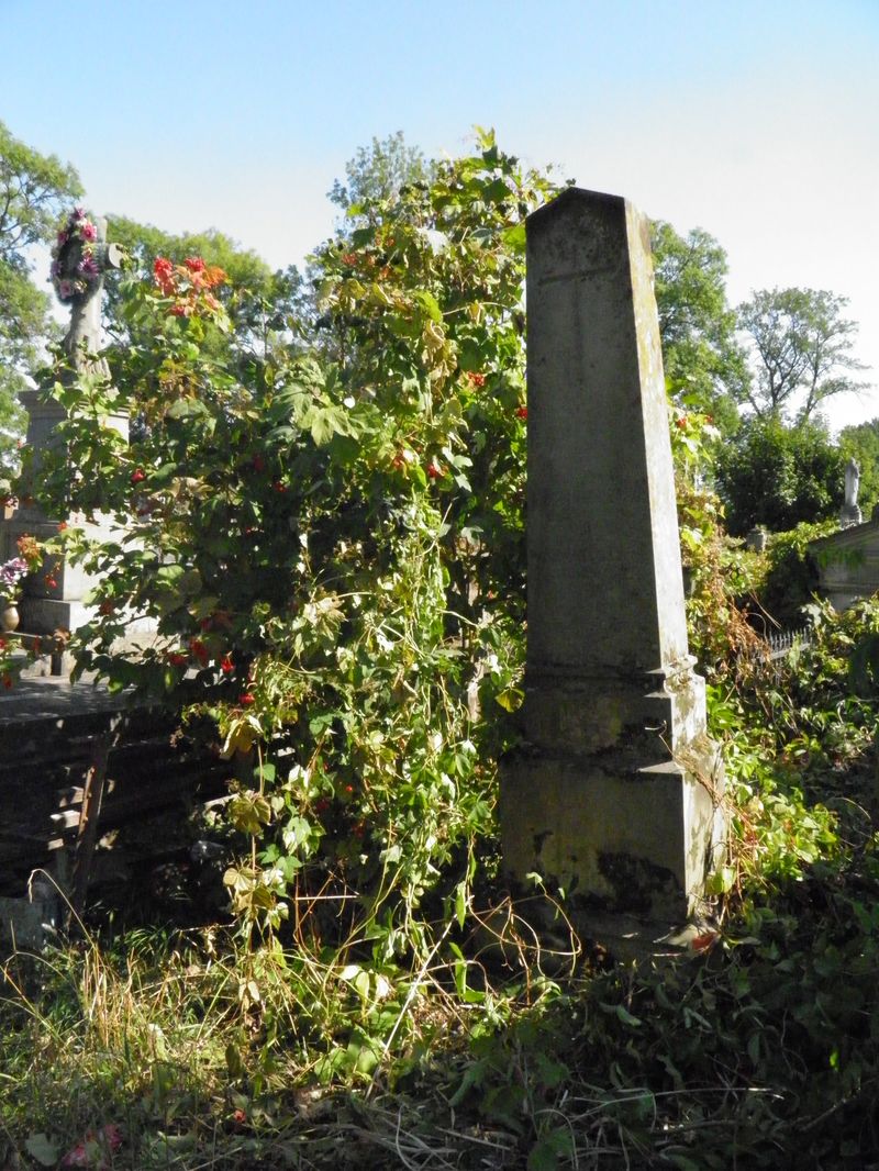 Nagrobek Anieli i Wilhelma Michalewskich, cmentarz w Tarnopolu, stan z 2016 r.